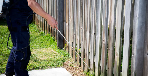 Emergency Pest Control Services Pascoe Vale