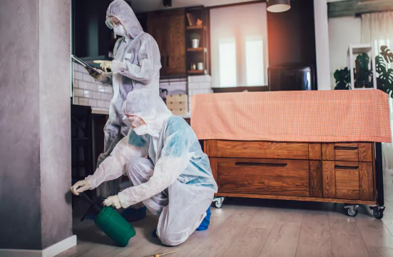 Residential Pest Control Services Pascoe Vale